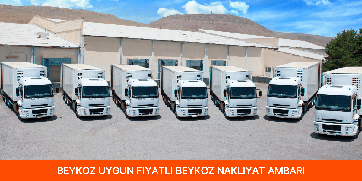 Uygun Fiyatlı Beykoz Nakliyat Ambarı